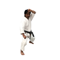 Kaiten Revolution Sovereign Regular 